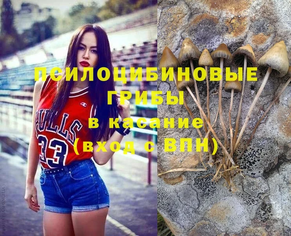 ECSTASY Липки