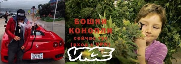 ECSTASY Липки
