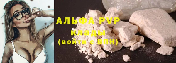 ECSTASY Липки