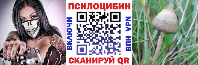 Купить закладки Медногорск Галлюциногенные грибы мухоморы